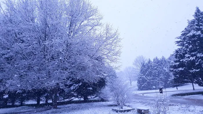 Bishop Mobile Home Park Picture 2