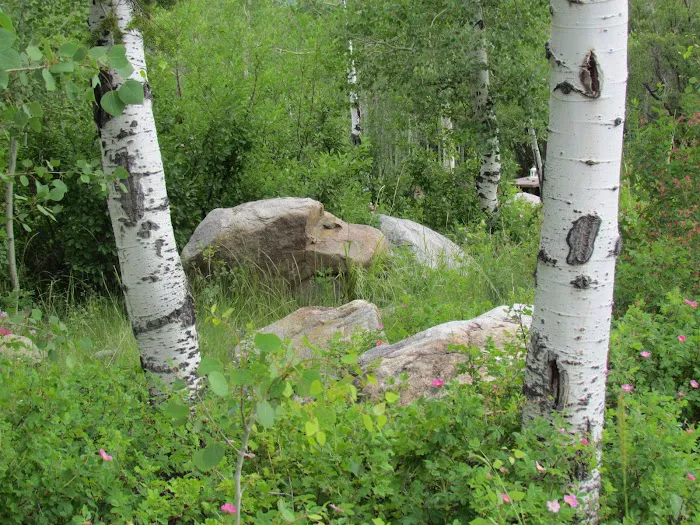 Fremont Lake Campground and Group Campground Picture 10
