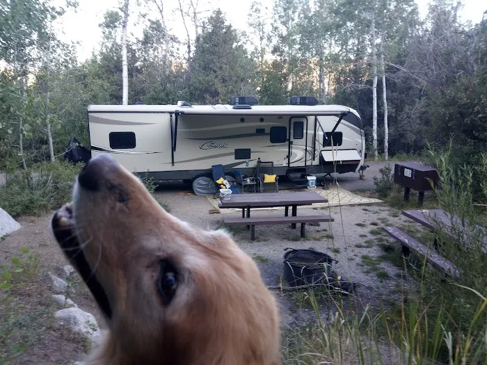 Fremont Lake Campground and Group Campground Picture 8