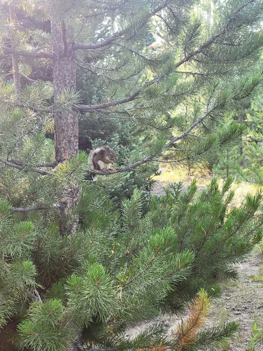 Whiskey Grove Campground Picture 2