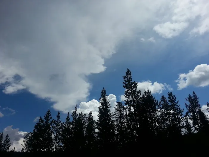 Whiskey Grove Campground Picture 3