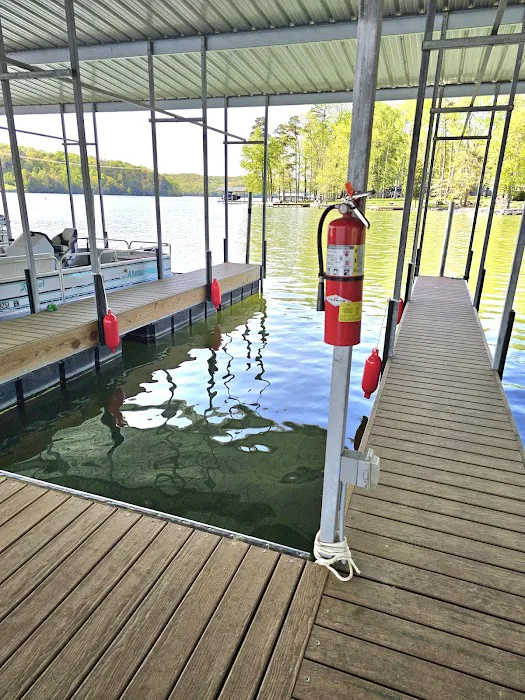 Bluebirds Landing Picture 2