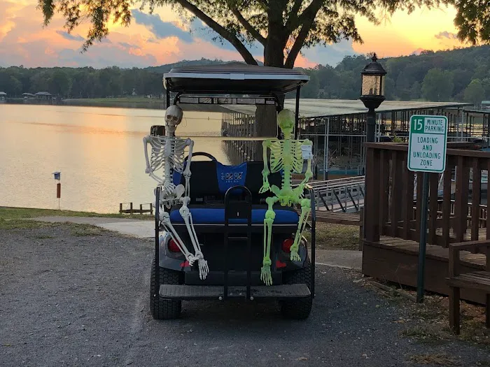 Bluebirds Landing Picture 8