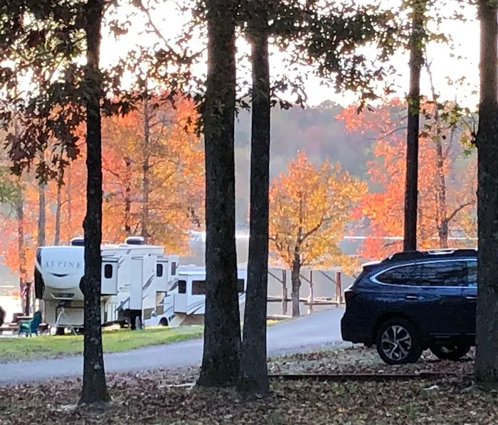 Bluebirds Landing Picture 9