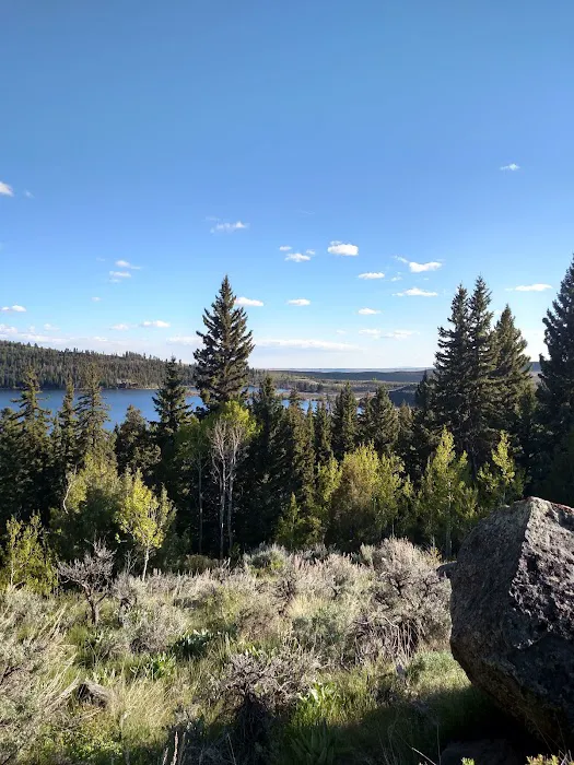 Half Moon Lake Campground Picture 5