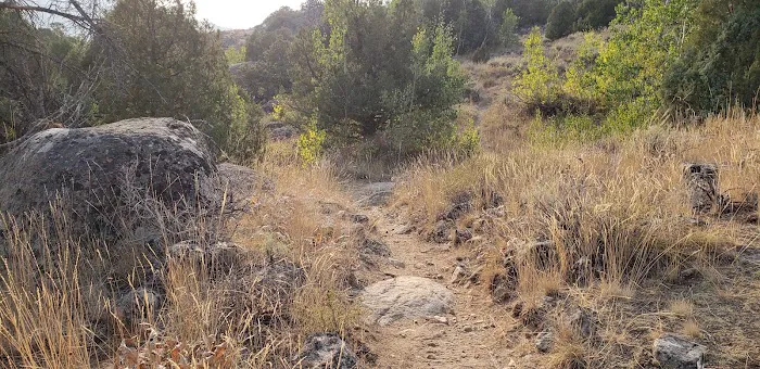 Half Moon Lake Campground Picture 4