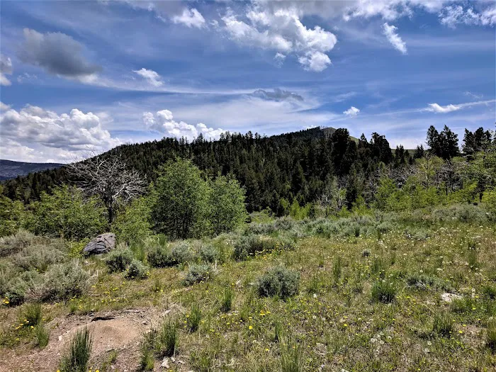 Half Moon Lake Campground Picture 9