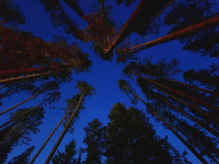 Camp Ho-Nok Picture 4