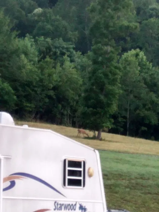 Anchors Away RV Park Picture 9