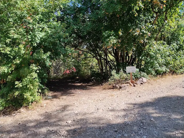 Camp Chi-Keena Picture 4