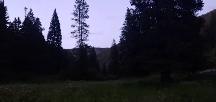 Eightmile Campground Picture 4