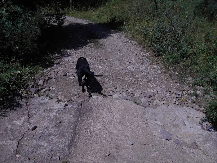 Eightmile Campground Picture 3