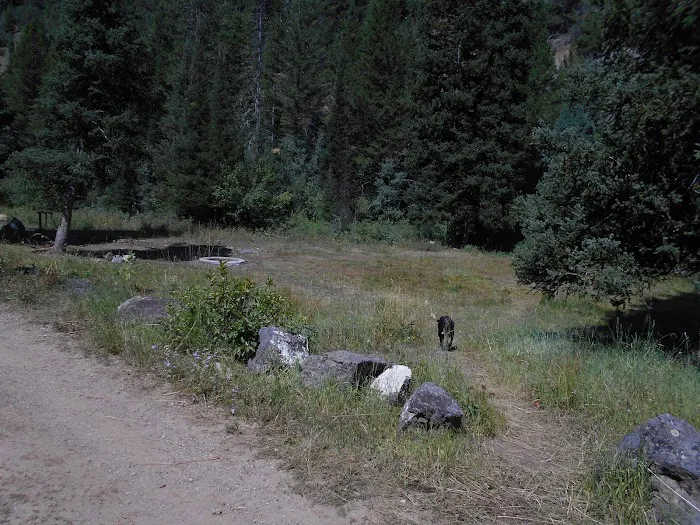 Eightmile Campground Picture 1