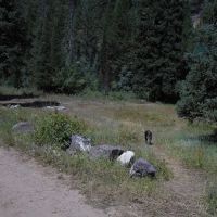 Eightmile Campground ico