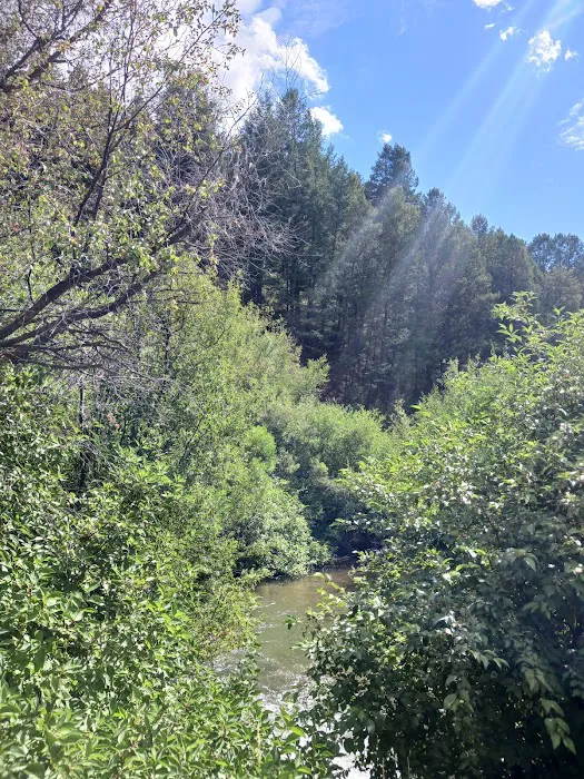 Montpelier Canyon Campground Picture 6