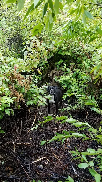 Montpelier Canyon Campground Picture 10