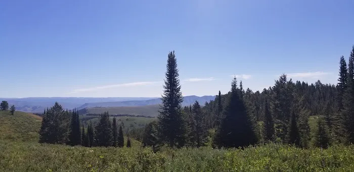 Montpelier Canyon Campground Picture 8