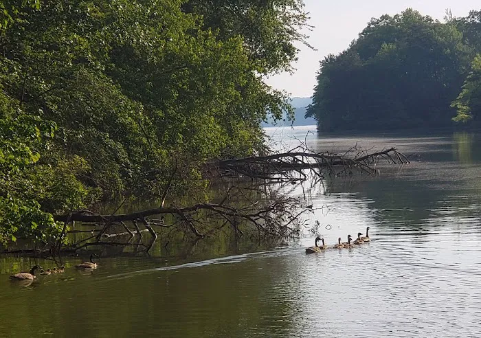 RV LOTS for rent on Watts Bar Lake! Picture 2