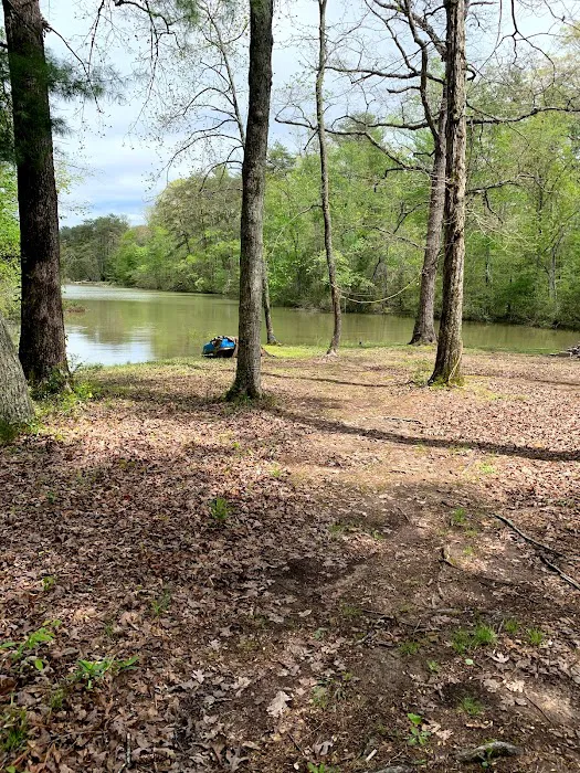 RV LOTS for rent on Watts Bar Lake! Picture 5