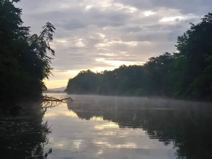 RV LOTS for rent on Watts Bar Lake! Picture 8