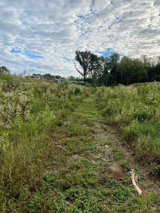 Sugarberry RV Park Picture 5