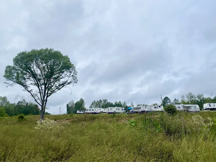 Sugarberry RV Park Picture 4