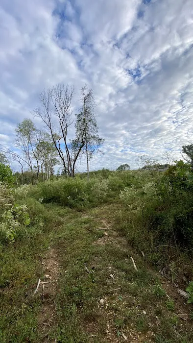 Sugarberry RV Park Picture 9