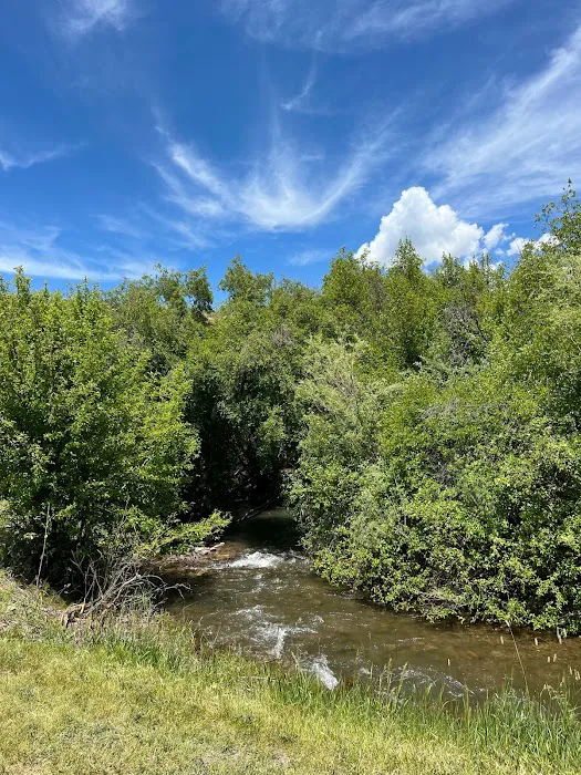 Montpelier Creek KOA Journey Picture 6