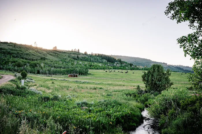 Liberty Ranch Picture 7