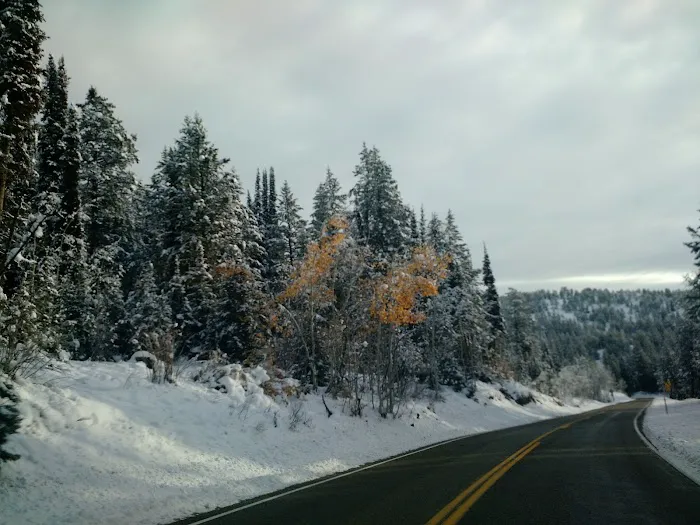 Emigration Campground Picture 4