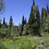 Emigration Campground ico