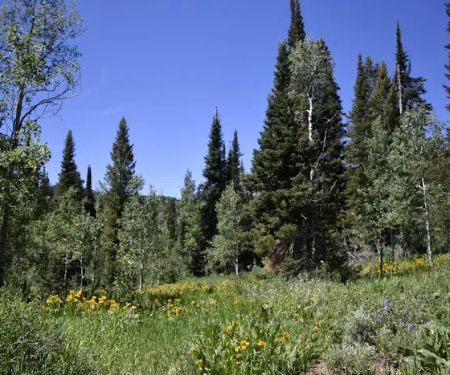 Emigration Campground