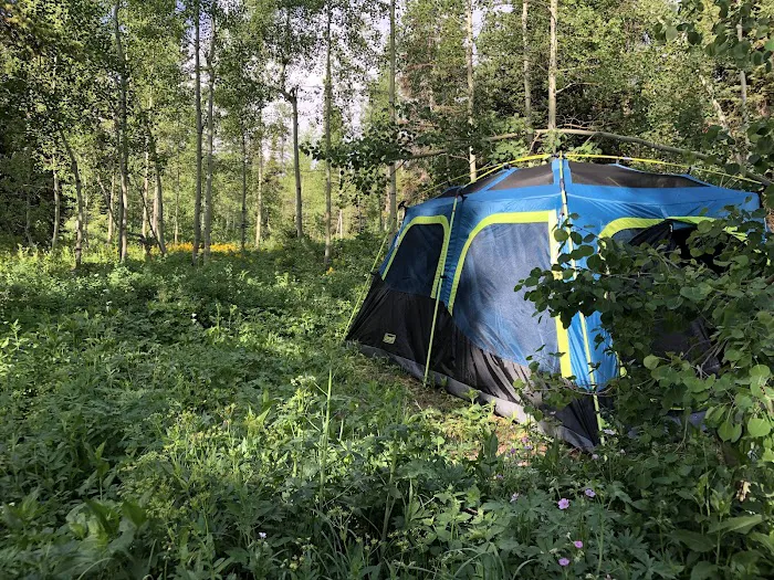 Emigration Campground Picture 6