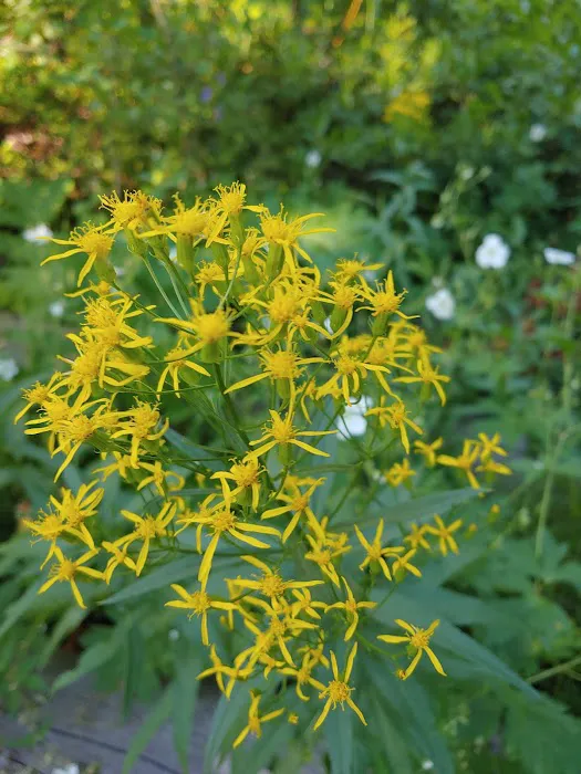 Emigration Campground Picture 7