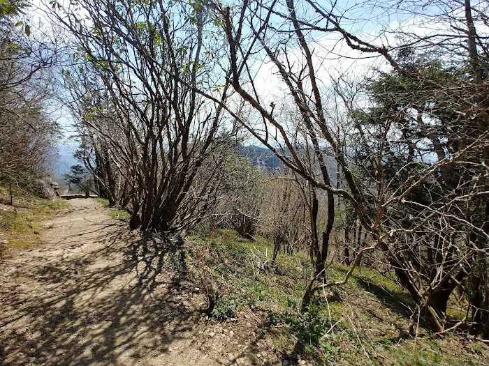 Cedar Point RV Park & Campground (Long Term) Picture 10