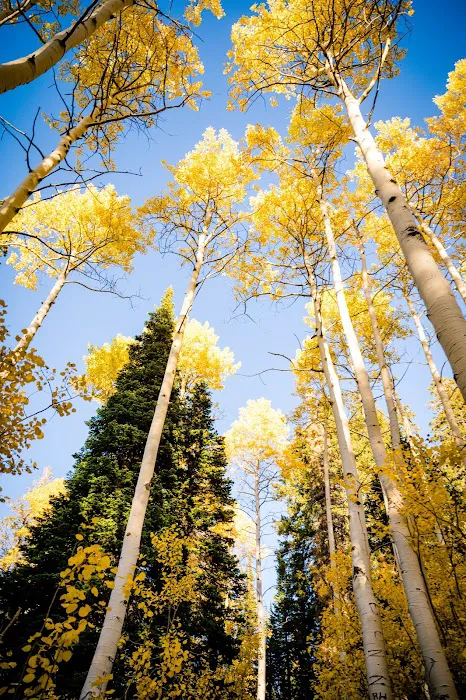 Hams Fork Campground Picture 1