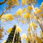 Hams Fork Campground