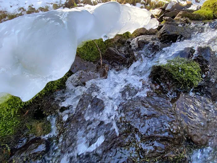 Hams Fork Campground Picture 4