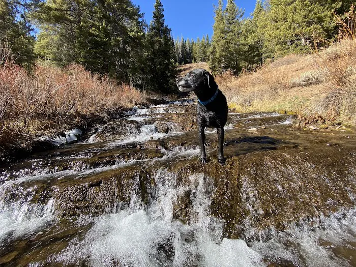Hams Fork Campground Picture 6