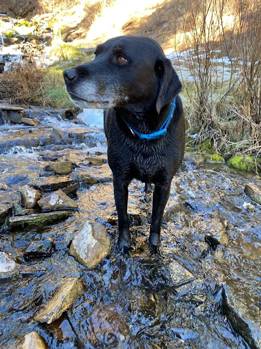 Hams Fork Campground Picture 7