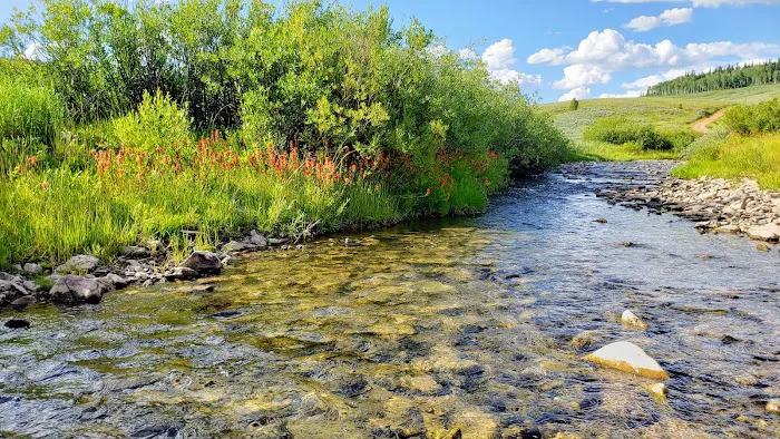 Hams Fork Campground Picture 9