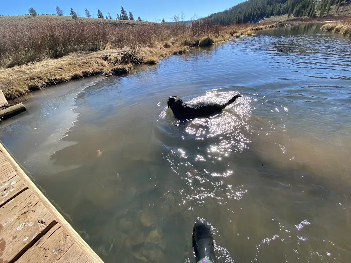 Hams Fork Campground Picture 8