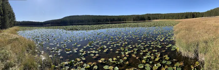 Wrangler Lake Picture 2