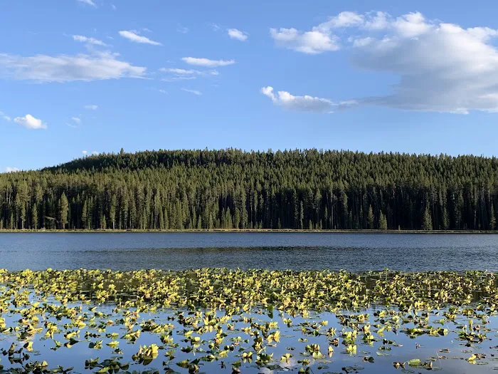 Wrangler Lake Picture 5