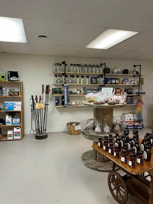 Bean Pot Campground Picture 6