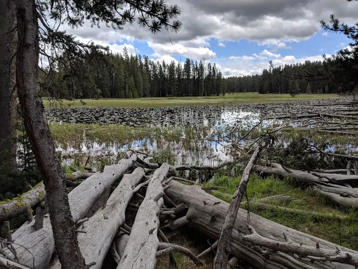 Ribbon Lake 4R1 Picture 9