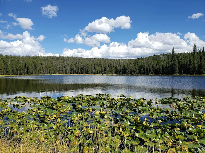 Ribbon Lake 4R1 Picture 8