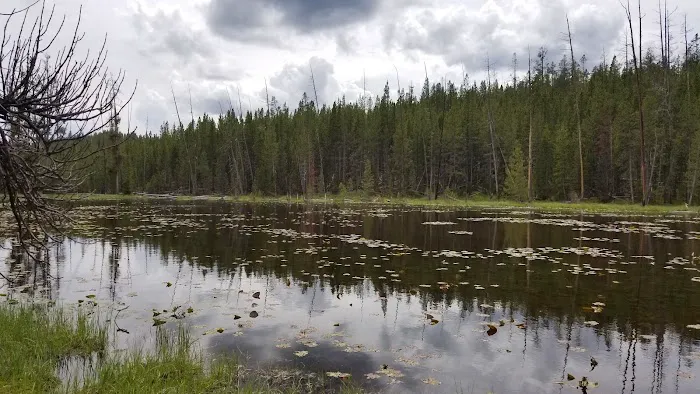 Ribbon Lake 4R1 Picture 7