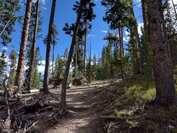 Ribbon Lake 4R1 Picture 10