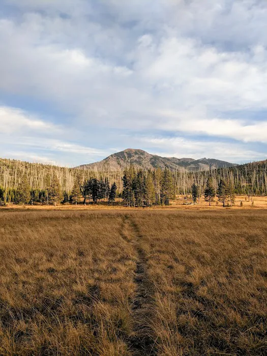 Mist Creek Pass 3T3 Picture 3